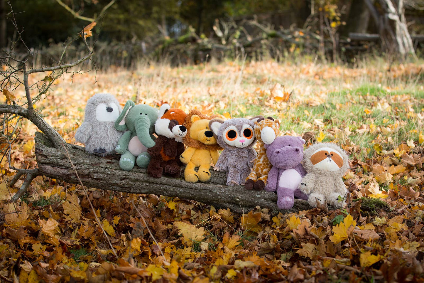 Collection of plush toys on a log in an autumn setting with fallen leaves and trees.