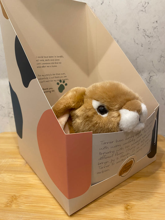 Loved Before - Bunny Soft Toy - Tanner – Eco-Friendly Pre-Loved Teddy Bear