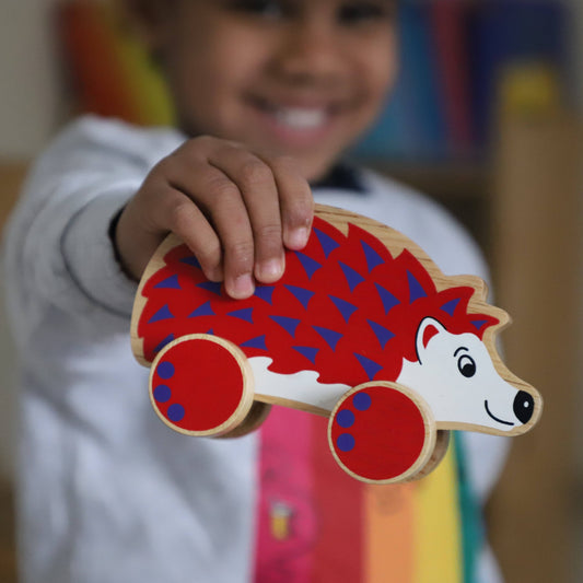 Hedgehog push along - Handmade fair trade wooden kids toy