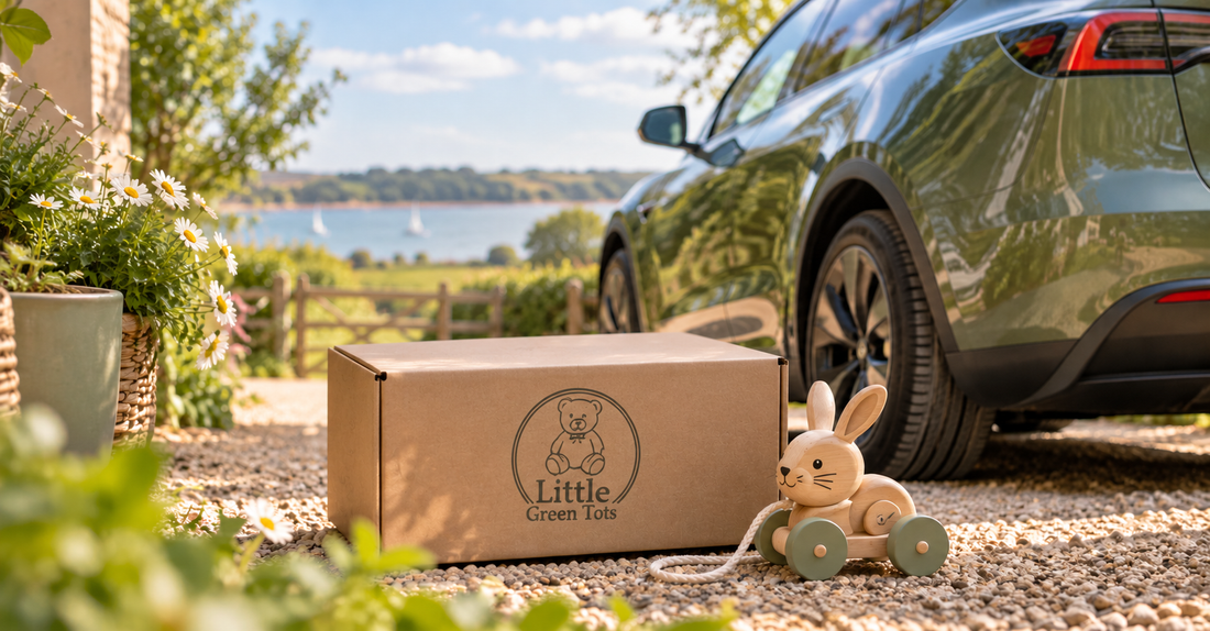 EV car with cardboard and rabbit pull along toy with view of a river