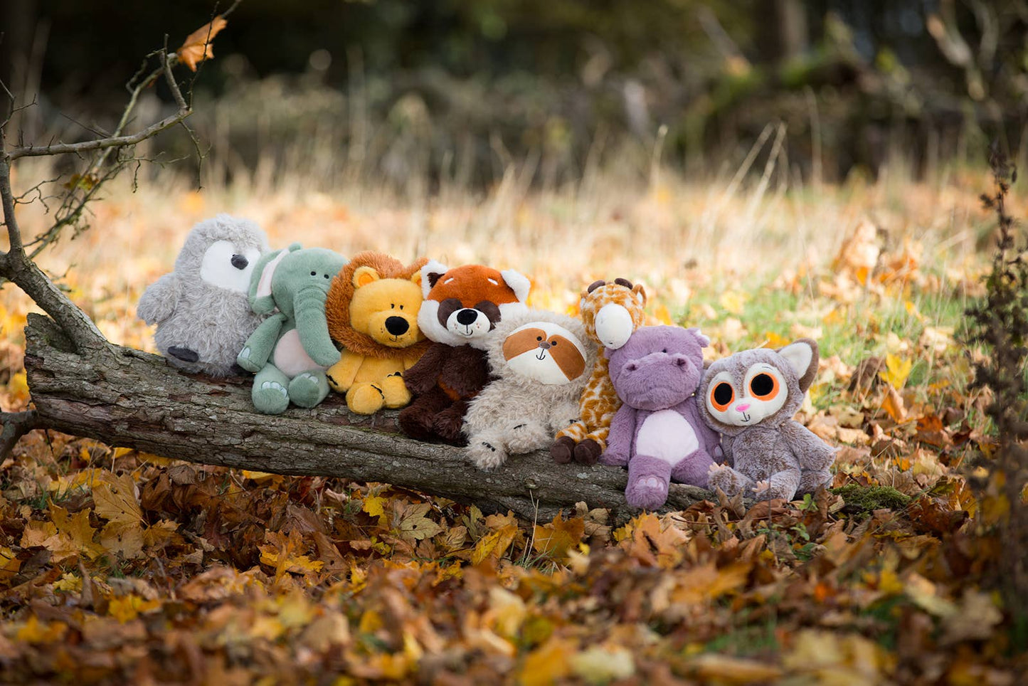Plush toys on a log in an autumn setting