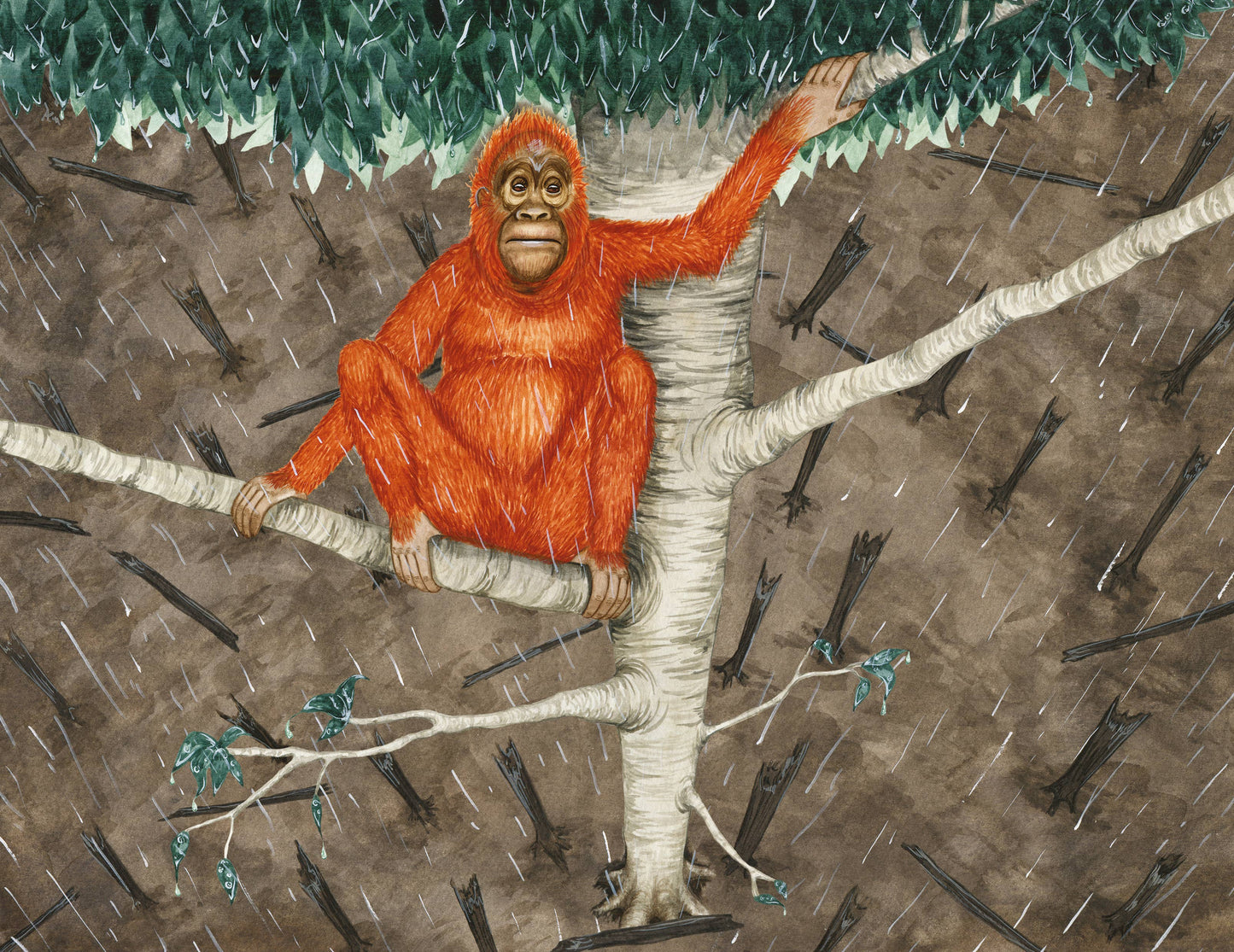 Orangutan in a tree during a rainstorm