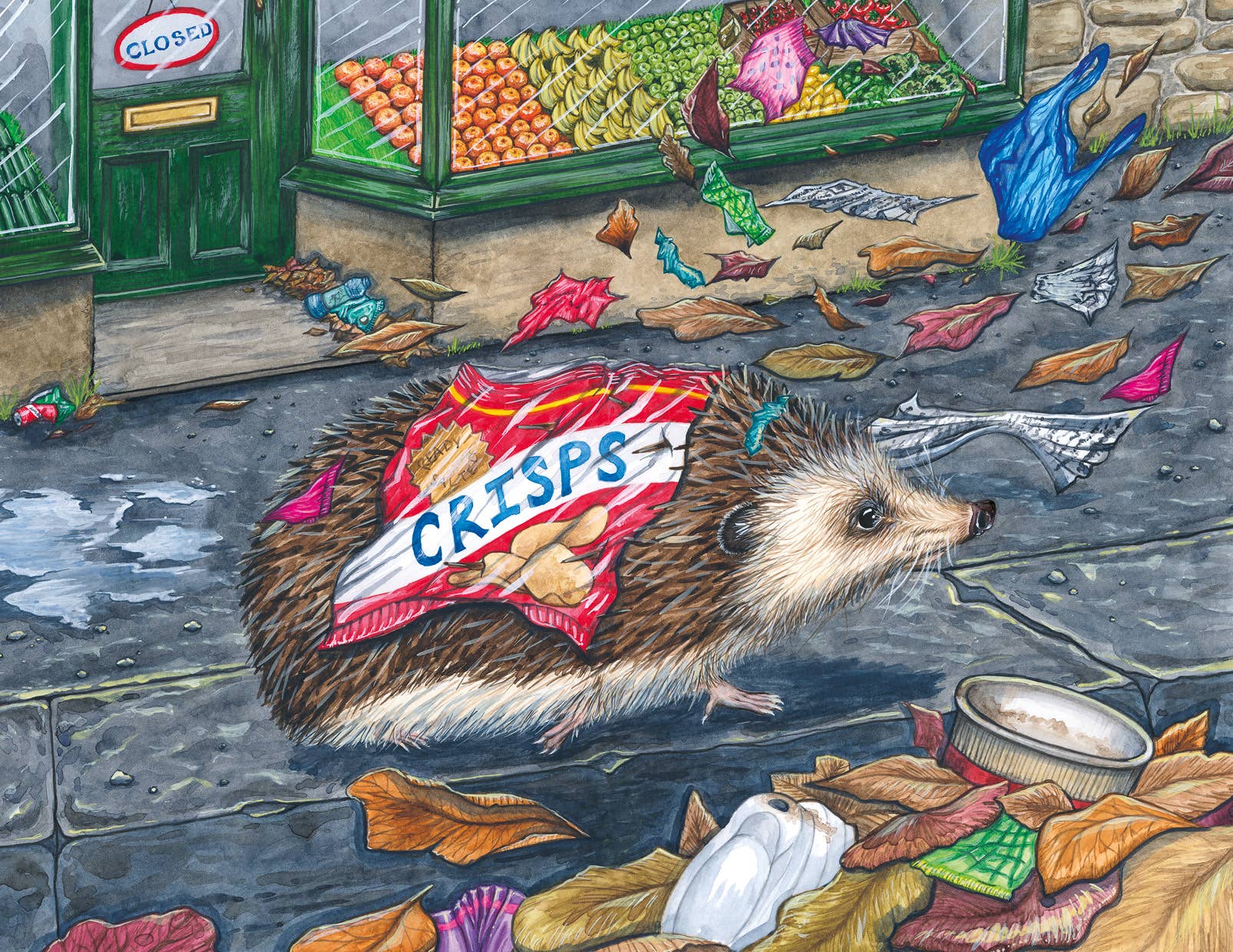 Hedgehog with a crisp packet stuck to it in an urban setting with a fruit and vegetable shop in the background.