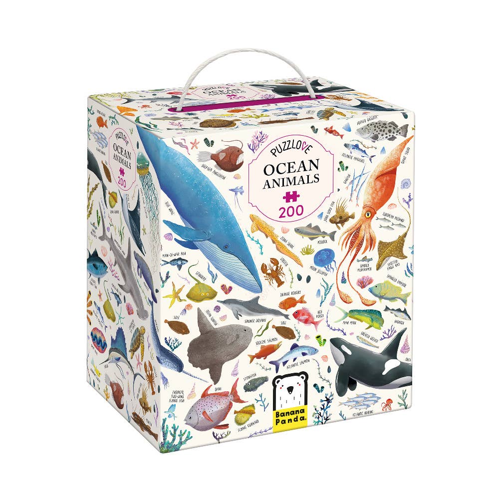 Puzzles box with ocean animals design on a white background