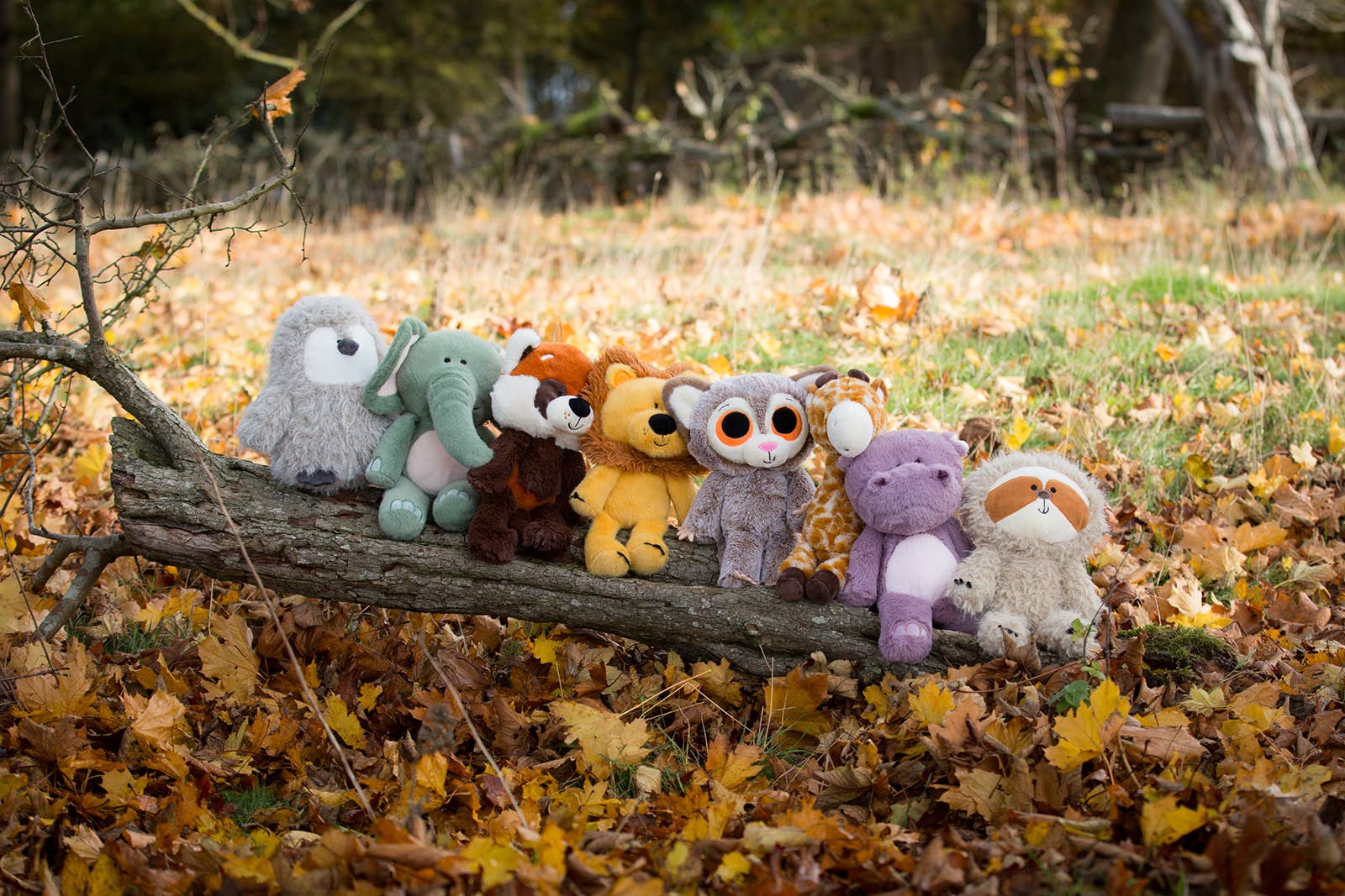 Collection of plush toys on a log in an autumn setting with fallen leaves and trees.