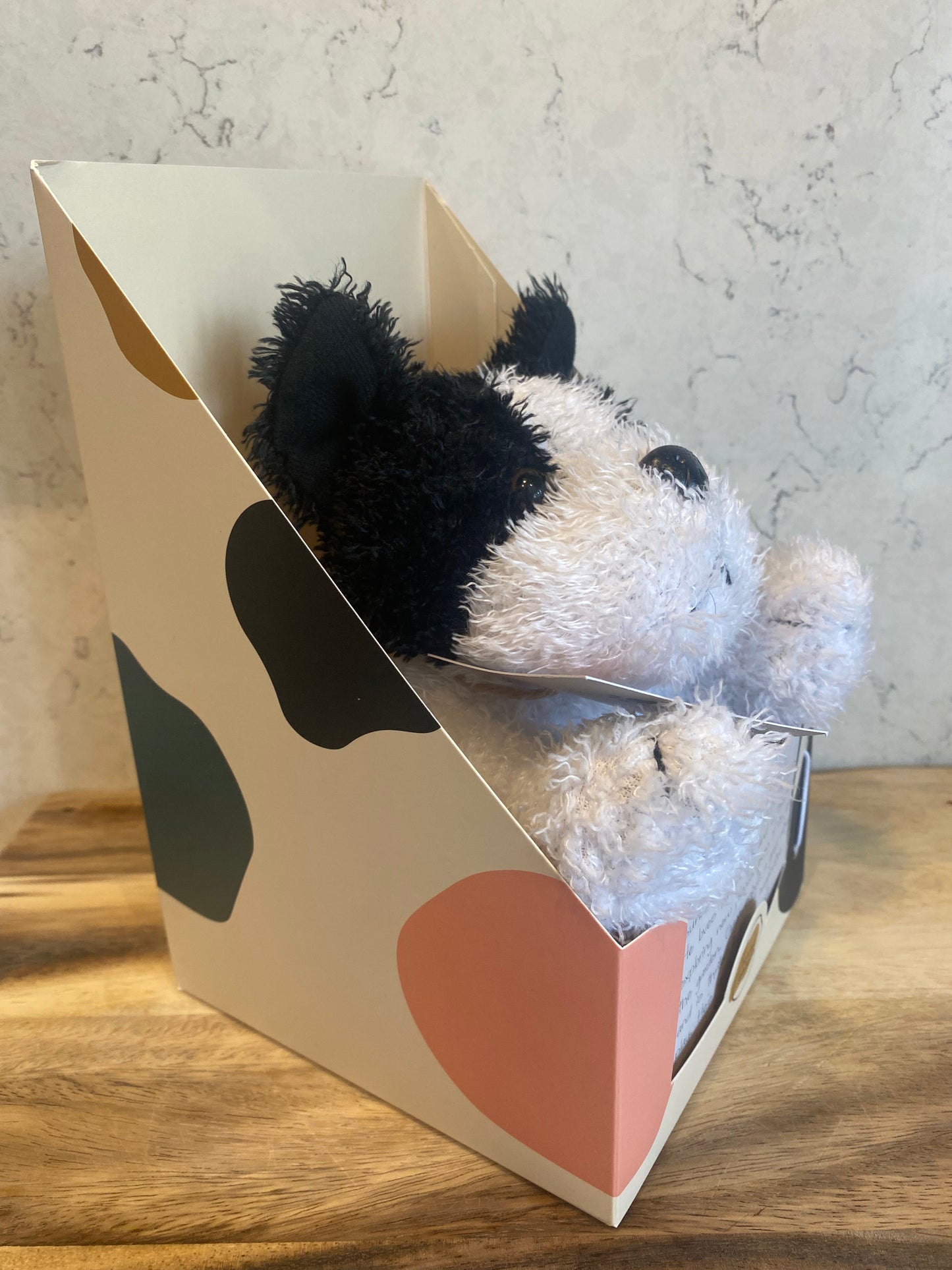 Stuffed dog toy in a decorative box with abstract patterns on a wooden surface.