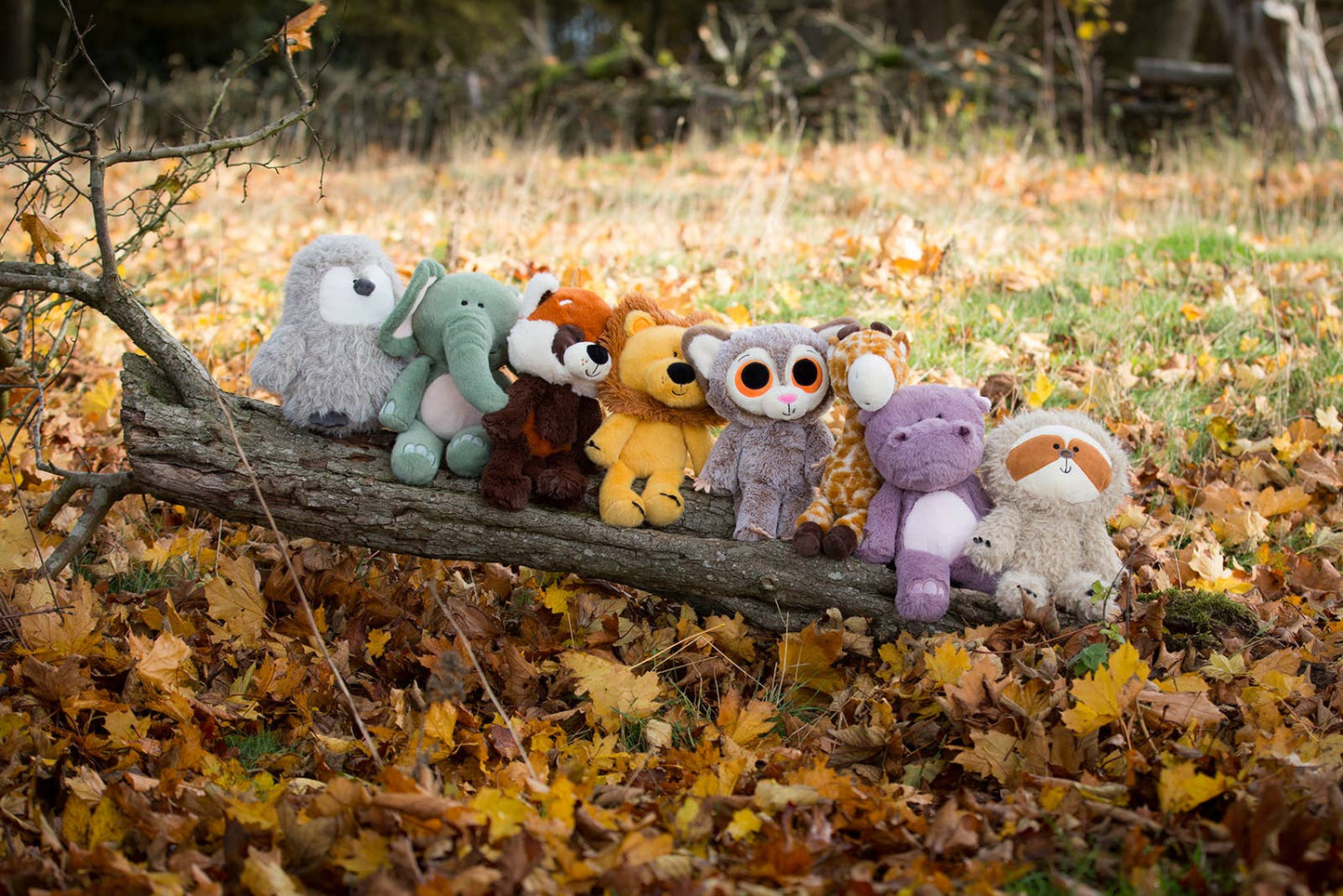 Row of plush toys on a log in an autumn setting with fallen leaves