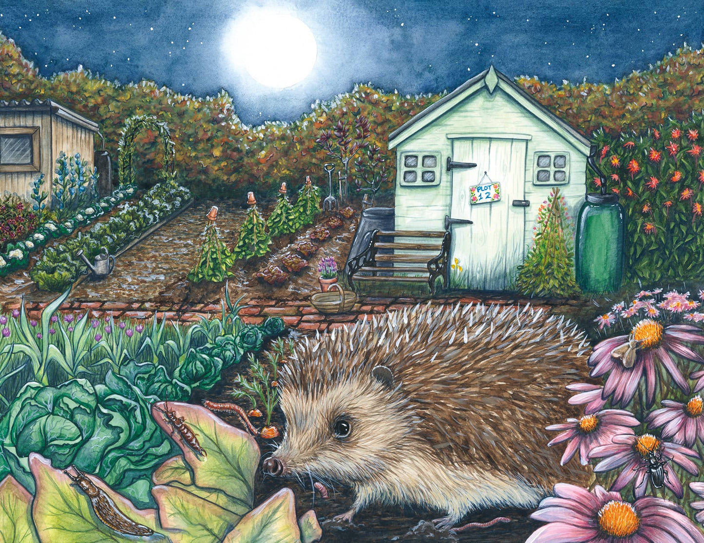 Illustration of a hedgehog in a garden at night with a shed and flowers.