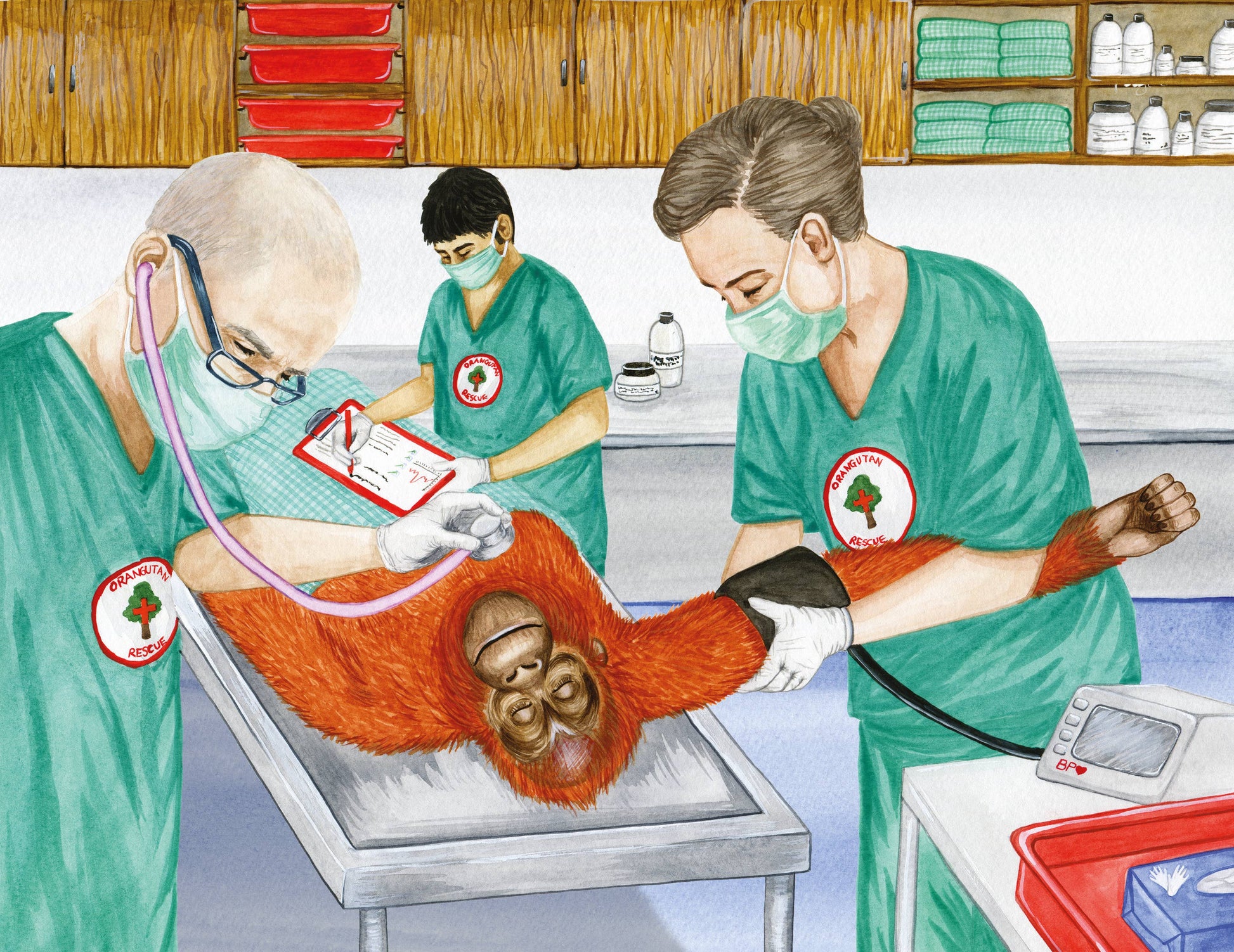 Illustration of medical professionals examining an orangutan in a clinic setting.