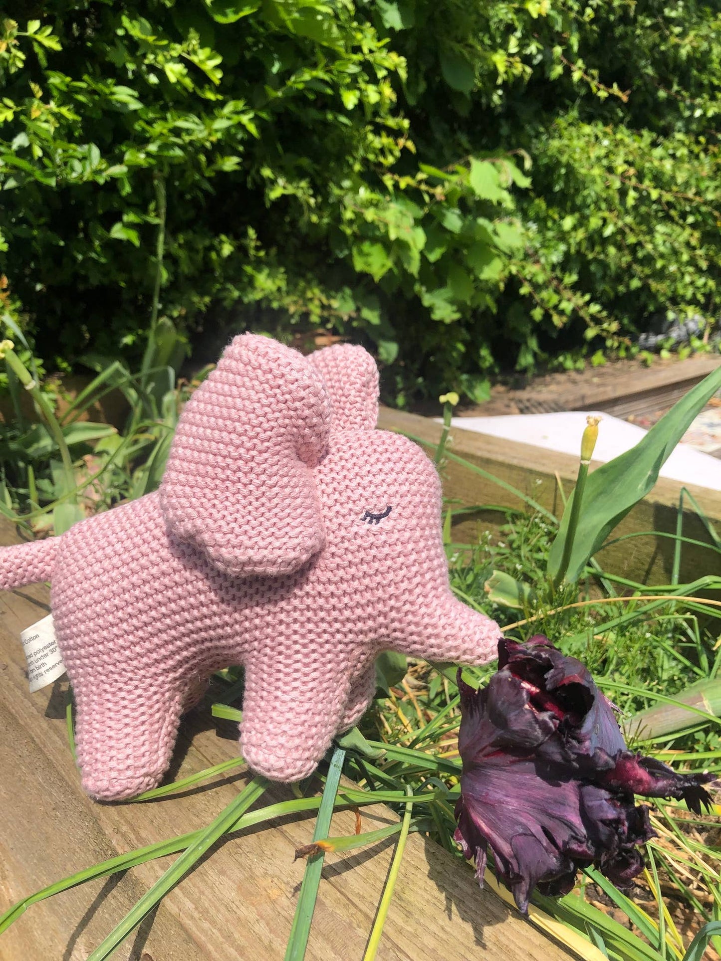 Chunky Knit Organic Small Baby Elephant Plush Toy Pink