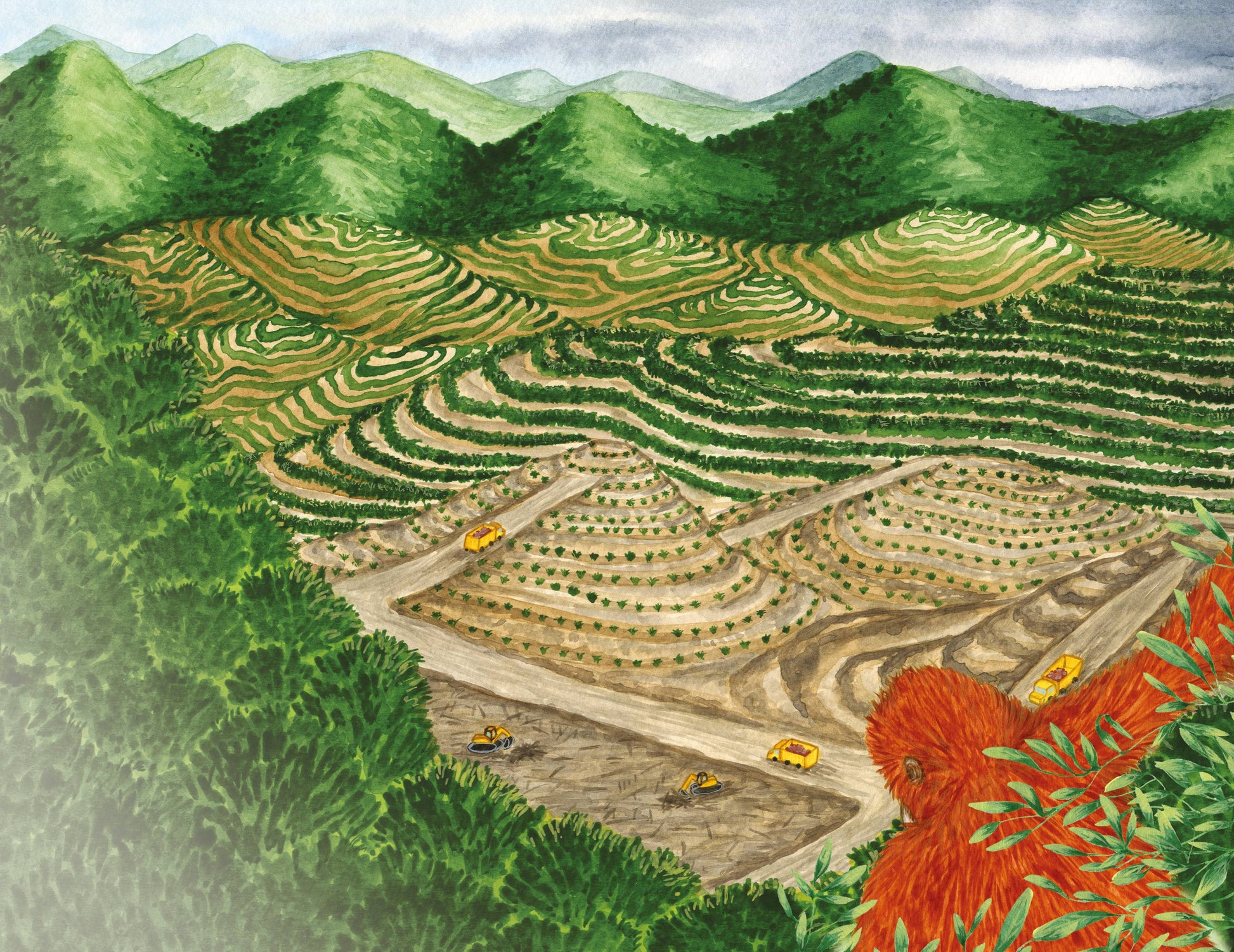 Hilly landscape with terraced fields and a red flower in the foreground