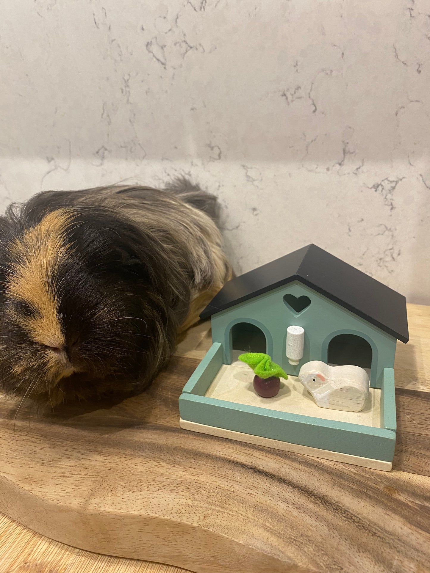 Wooden Pet Rabbit Play Set