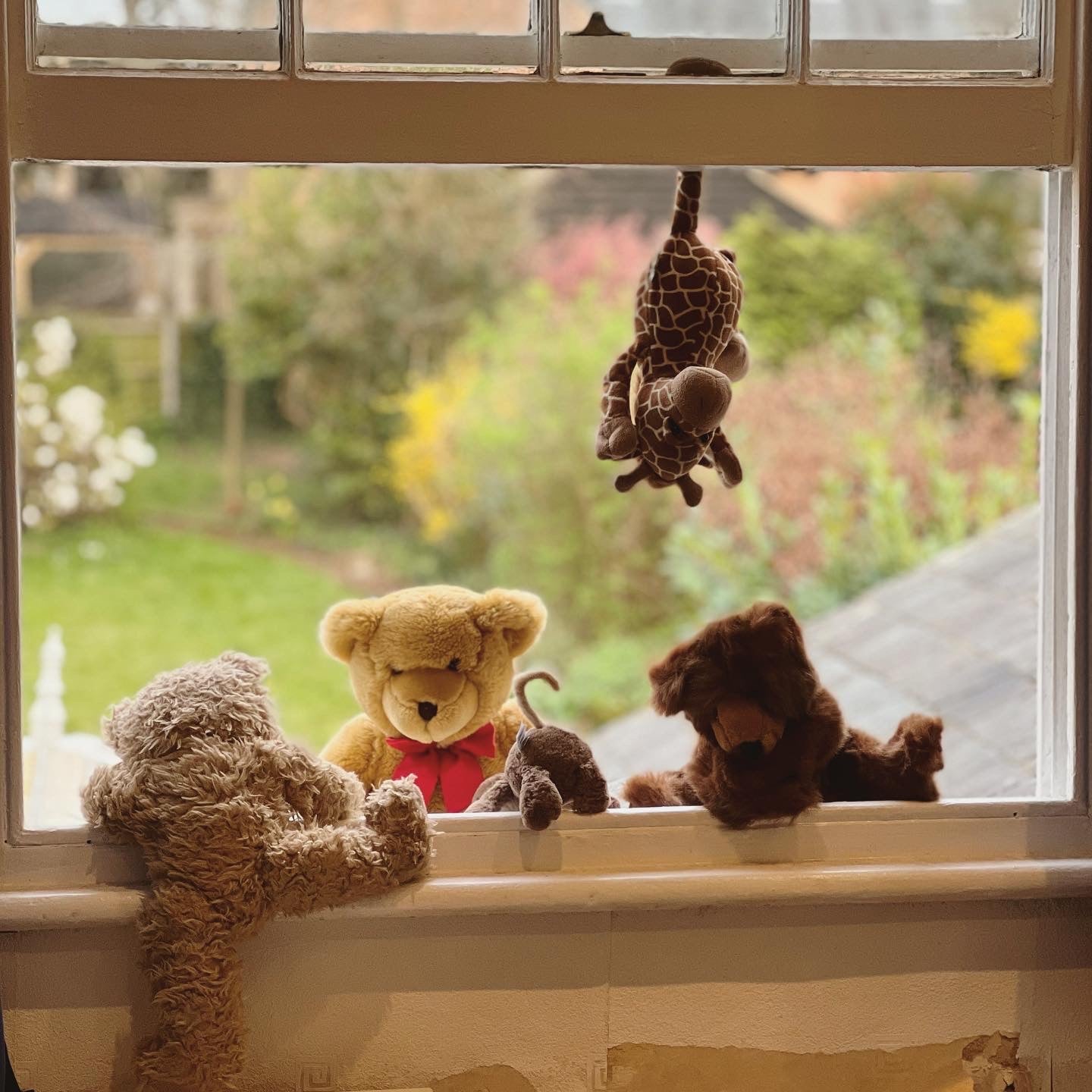 Stuffed animals looking out a window with a garden view