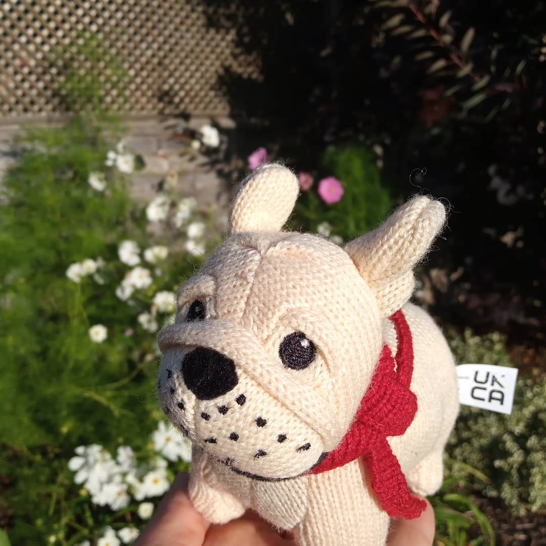 Knitted French Bulldog Rattle