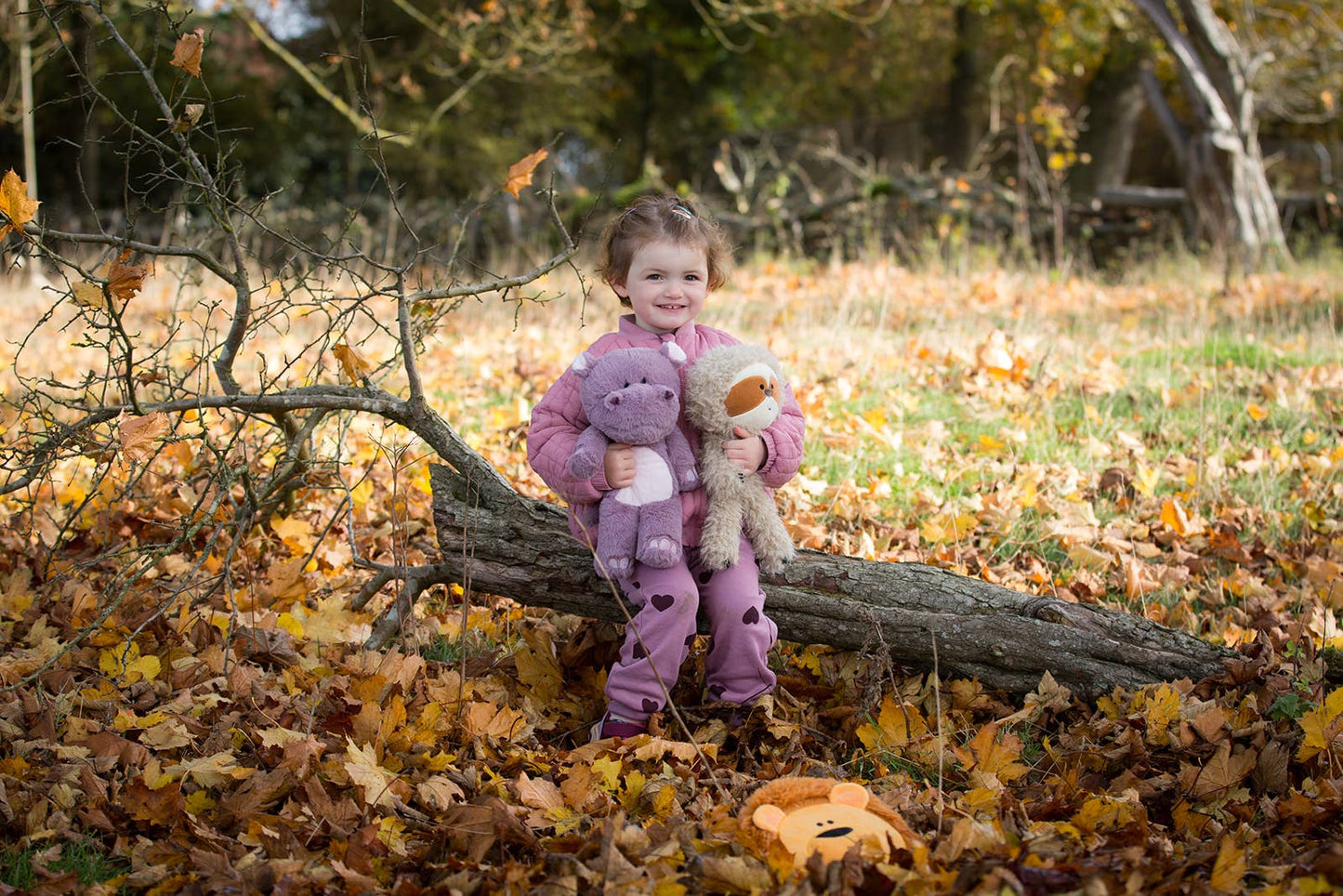 Child holding plush toys in a forest with fallen leaves