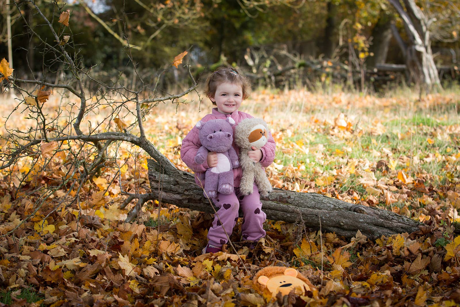 Child holding plush toys in a forest with fallen leaves