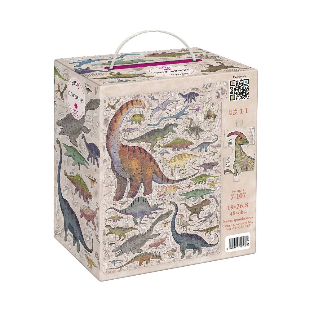 Dinosaur-themed puzzle box with illustrations of various dinosaurs on a white background